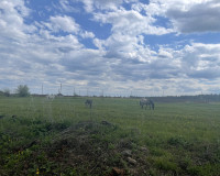 Ð¼ÐºÑ Ð¡ÐºÐ°Ð·ÐºÐ° ÐÑÐ¾Ð¼ÑÑÑÐ¾Ð¹Ð¸Ð½Ð²ÐµÑÑ