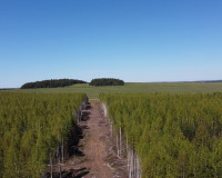 ÐÐÐÐÐÐÐ§Ð